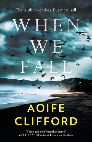 When We Fall by Aoife Clifford, book cover
