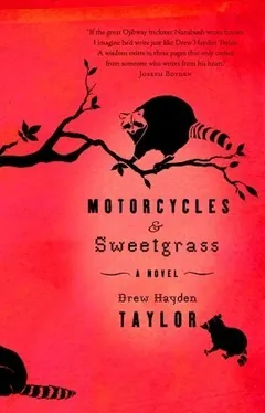 Motorcycles and Sweetgrass by Drew Hayden Taylor, book cover