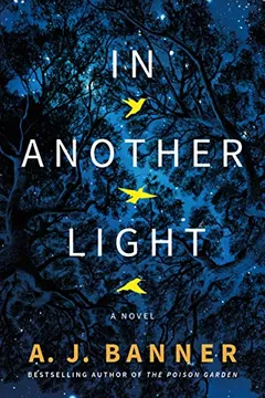 In Another Light by A.J. Banner, book cover