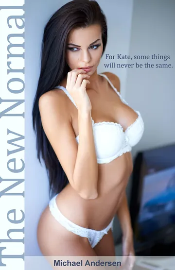 The New Normal by Michael Andersen, book cover