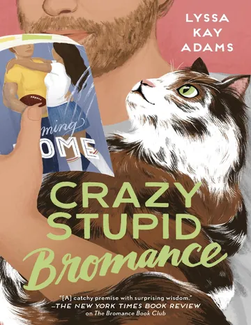 Crazy Stupid Bromance by Lyssa Kay Adams, book cover