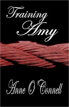Training Amy by Anne O'Connell, book cover