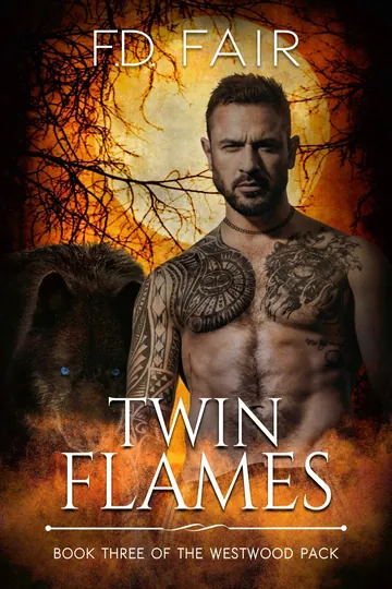 Twin Flames by F.D. Fair, book cover