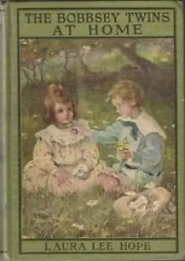 The Bobbsey Twins' Big Adventure at Home by Laura Lee Hope, book cover