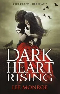 Dark Heart Rising by Lee Monroe, book cover