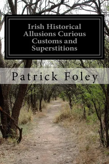 Irish Historical Allusions Curious Customs and Superstitions by Patrick Foley, book cover