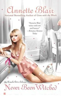 Never Been Witched by Annette Blair, book cover