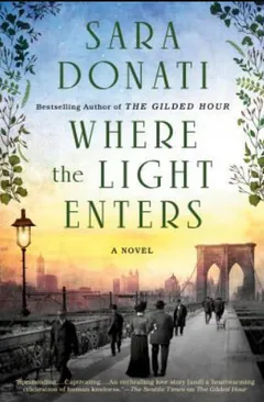 Where the Light Enters by Rosina Lippi, book cover