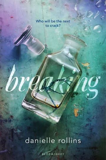 Breaking by Danielle Rollins, book cover