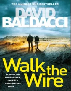 Walk the Wire - David Baldacci