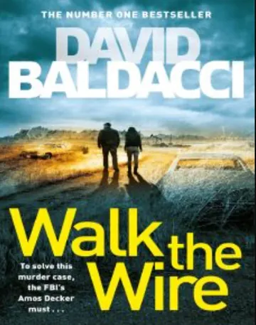 Walk the Wire by David Baldacci, book cover
