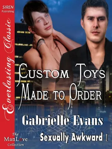 Custom Toys Made to Order by Gabrielle Evans, book cover