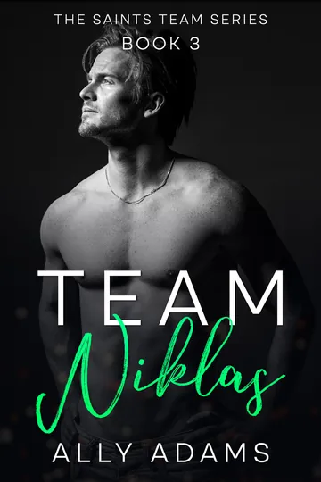 Team Niklas by Ally Adams, book cover