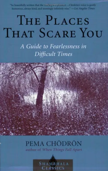 The Places That Scare You by Pema Chodron, book cover