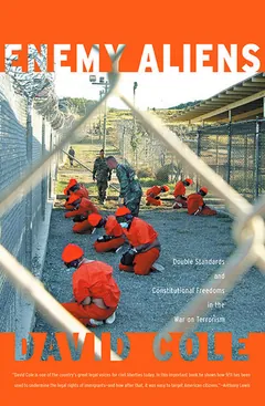 Enemy Aliens by David Cole, book cover