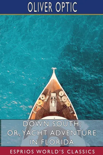Down South by Oliver Optic, book cover