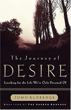 The Journey of Desire by John Eldredge, book cover
