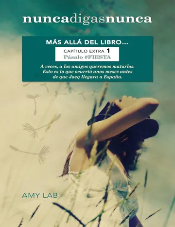 Nunca digas nunca. Pásalo #FIESTA (Capítulo Extra: Más allá del libro) de Amy Lab, portada del libro