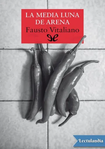 La media luna de arena de Fausto Vitaliano, portada del libro