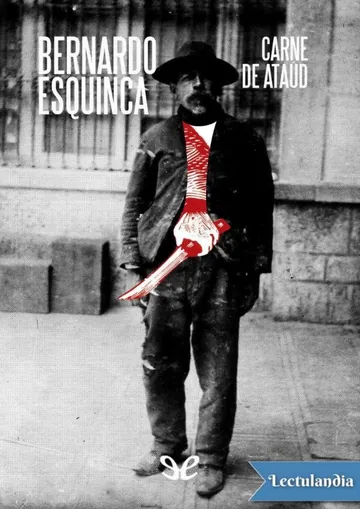 Carne de ataúd de Bernardo Esquinca, portada del libro