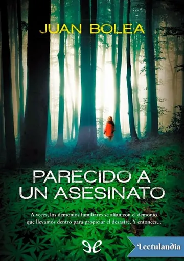 Parecido a un asesinato de Juan Bolea, portada del libro