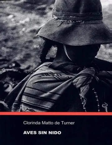 Aves sin nido de Clorinda Matto De Turner, portada del libro