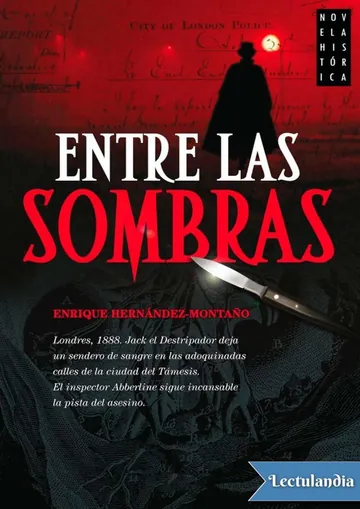 Entre sombras de Enrique Hernández-Montaño, portada del libro