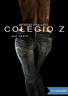 Colegio Z: Ala oeste - Ignacio Mallén