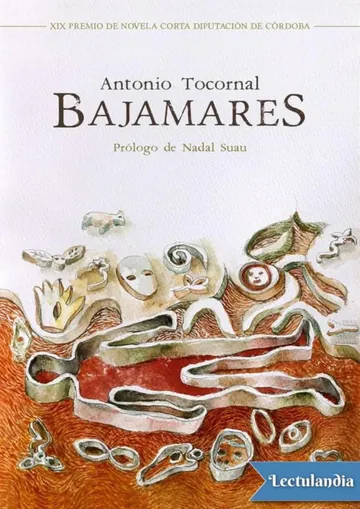 Bajamares de Antonio Tocornal, portada del libro