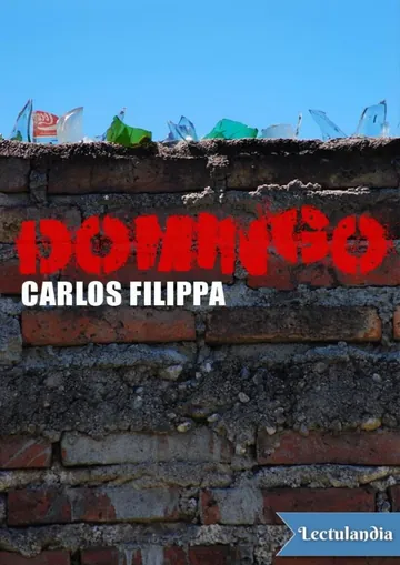 Domingo de Carlos Filippa, portada del libro