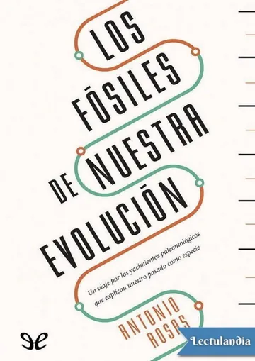Los fósiles de nuestra evolución de Antonio Rosas, portada del libro