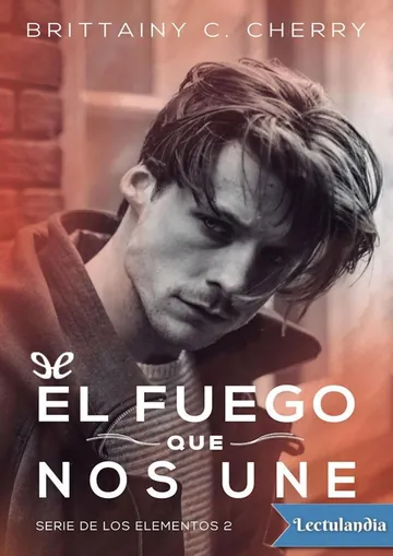 El fuego que nos une de Brittainy C. Cherry, portada del libro