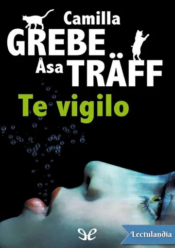 Te vigilo de Camilla Grebe, portada del libro