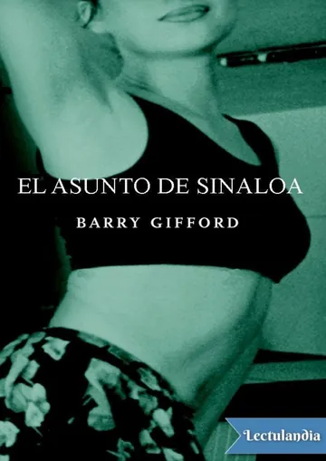 El asunto de Sinaloa de Barry Gifford, portada del libro