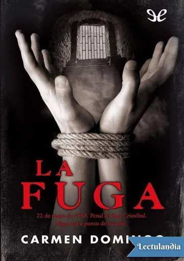 La fuga de Carmen Domingo, portada del libro