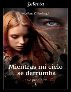 Mientras mi cielo se derrumba - Matias Zitterkopf