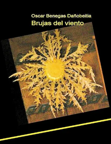 Brujas del viento de Oscar Benegas Danobeitia, portada del libro