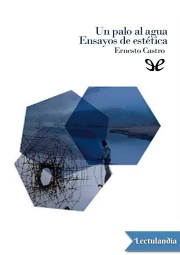 Un palo al agua. Ensayos de estética de Ernesto Castro Córdoba, portada del libro