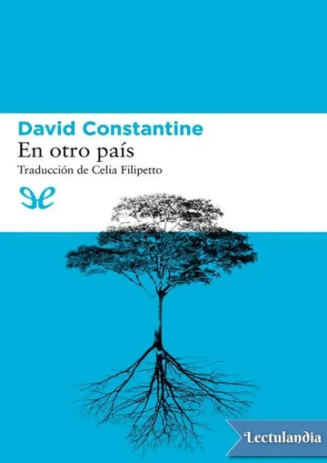 En otro país de David Constantine, portada del libro