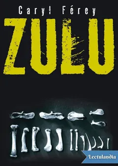 Zulú - Caryl Ferey