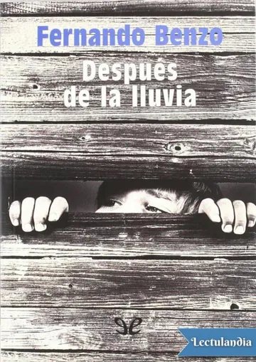 Después de la lluvia de Fernando Benzo, portada del libro