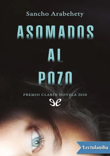 Asomados al pozo de Ignacio Arabehety, portada del libro