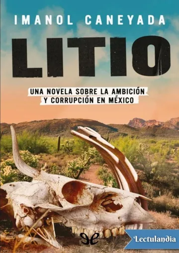 Litio de Imanol Caneyada, portada del libro