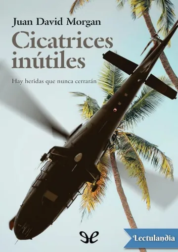 Cicatrices inútiles de Juan David Morgan, portada del libro