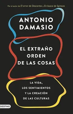 El extraño orden de las cosas de Antonio Damasio, portada del libro