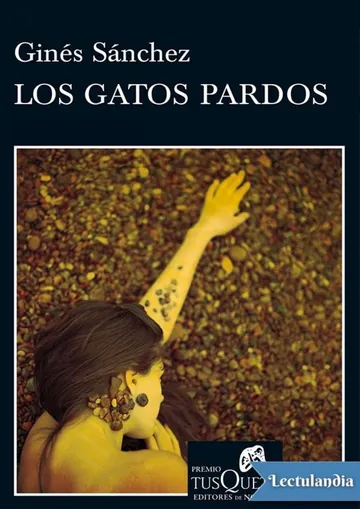 Los gatos pardos de Ginés Sánchez, portada del libro
