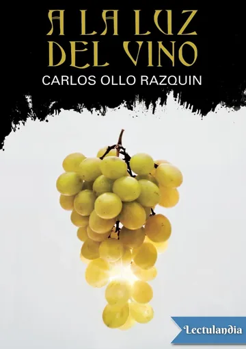 A la luz del vino de Carlos Ollo Razquin, portada del libro