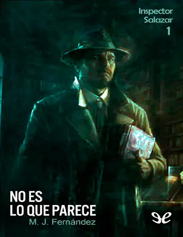 No es lo que parece de M. J. Fernandez, portada del libro