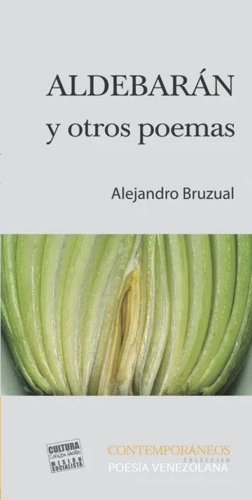 Aldebaran y otros poemas de Alejandro Bruzual, portada del libro