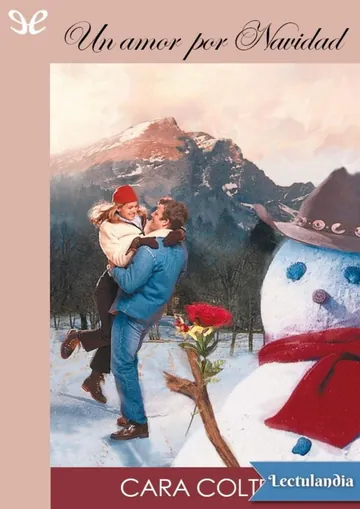 Un amor por Navidad de Cara Colter, portada del libro